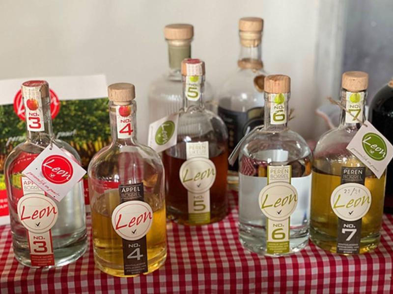 54672179763_20b8fd2957_z-4