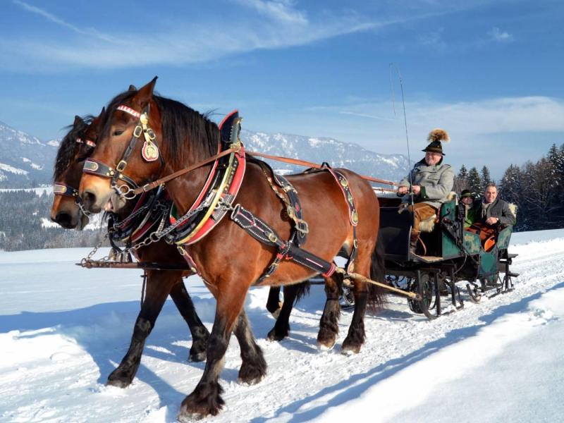 abtenau-winterwandelreis-(5)