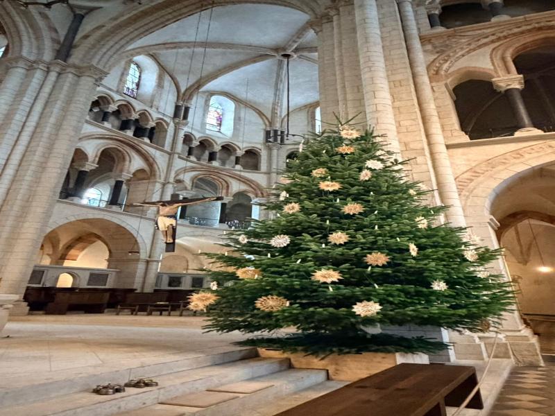 advenstreis-heidelberg-en-limburg-ad-lahn-(3)-2