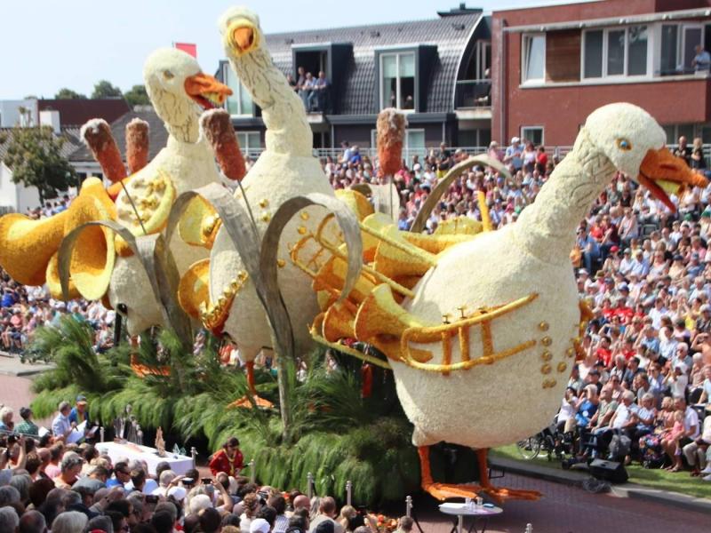 bloemencorso-02-ovv-erwin-martens-4