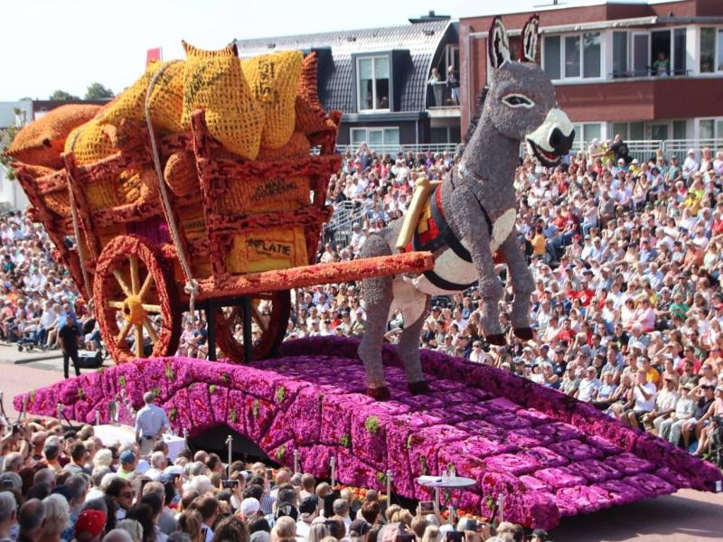 bloemencorso-05-ovv-erwin-martens-4