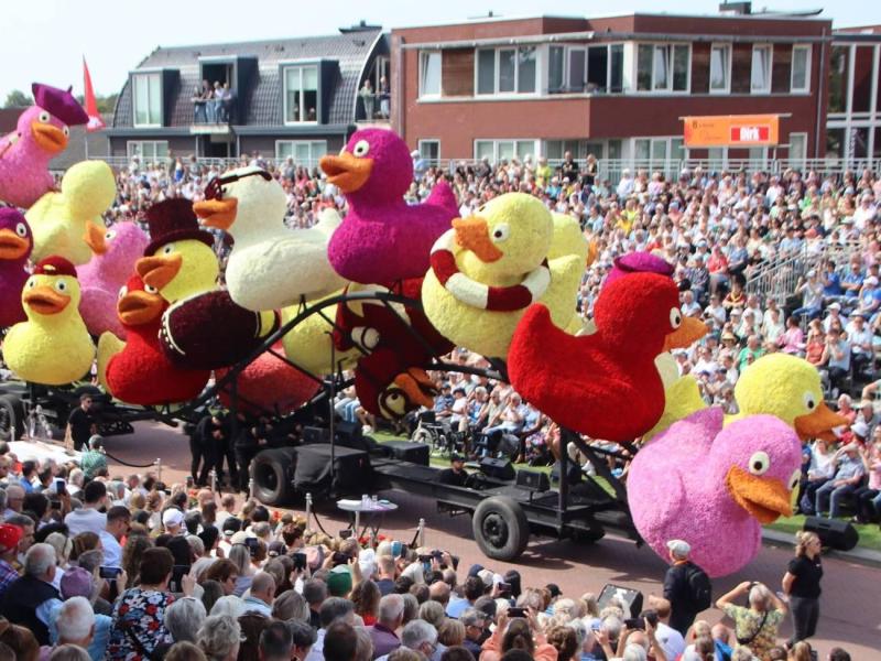 bloemencorso-ovv-erwin-martens-4