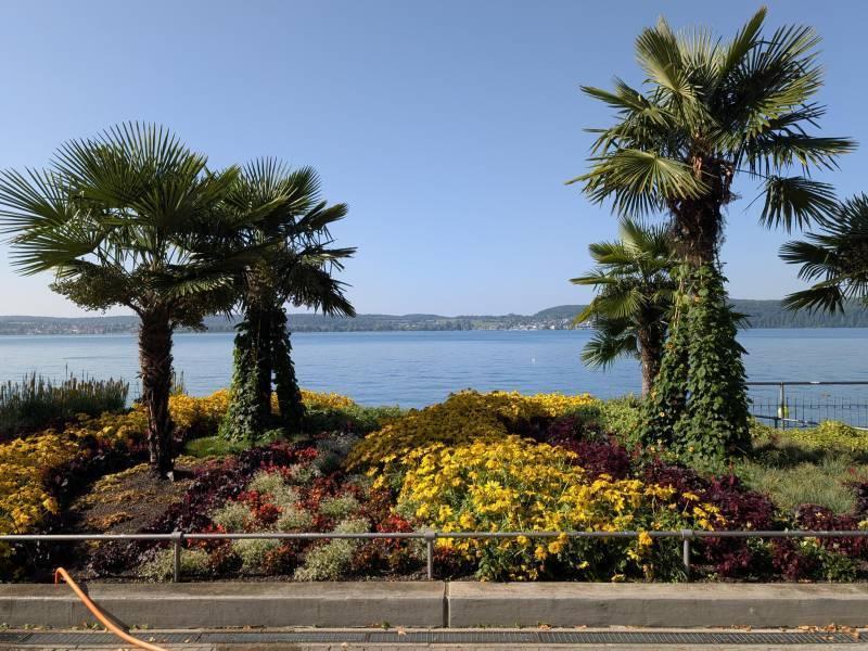 Bodensee