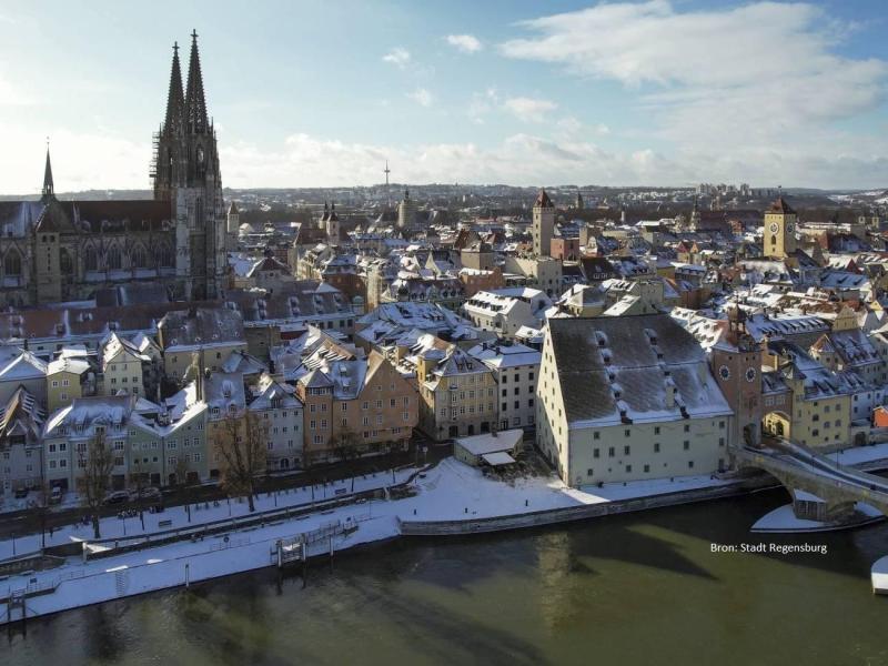 carnavalsreis-beierse-woud-2026-(2)-ovv-stadt-regensburg