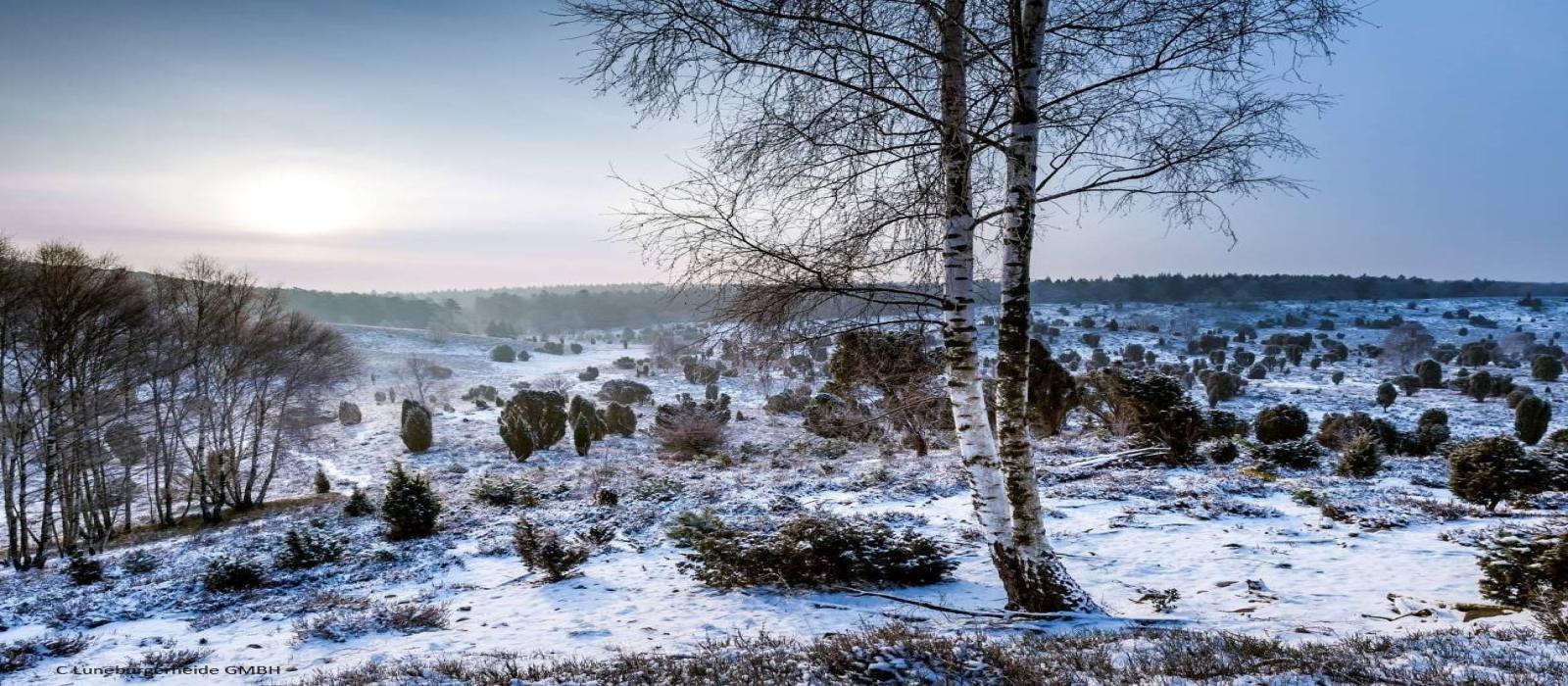 carnavalsreis-luneburgerheide-2026-(3)