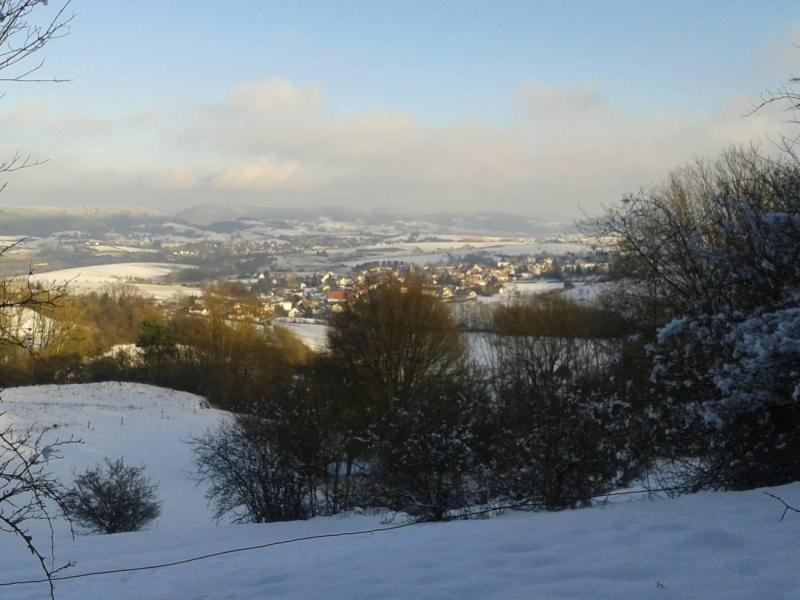 carnavalsreis-spessart-2026-(3)
