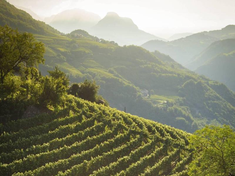 fietsreis-sudtirol-en-gardameer-(3)-4