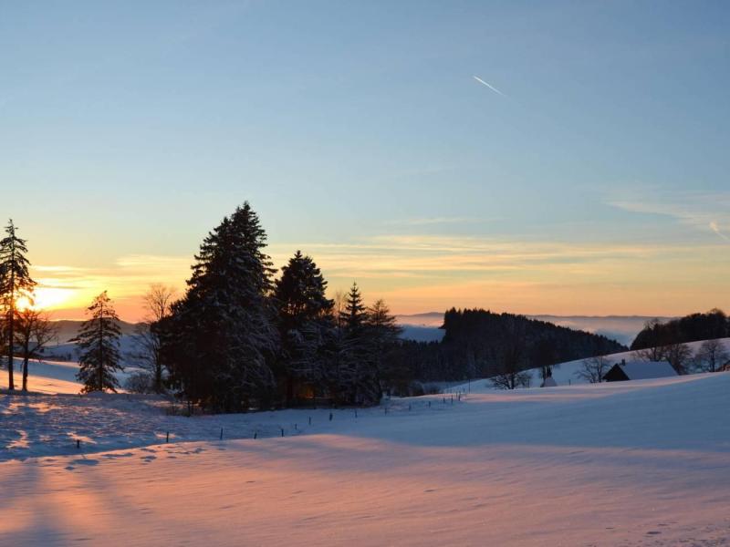 foto-van-giessen-schwarzwald-winterlandschaft-4