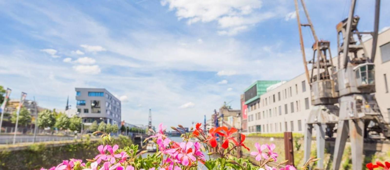 hafenbecken2_c_-melanie-stegemann-6