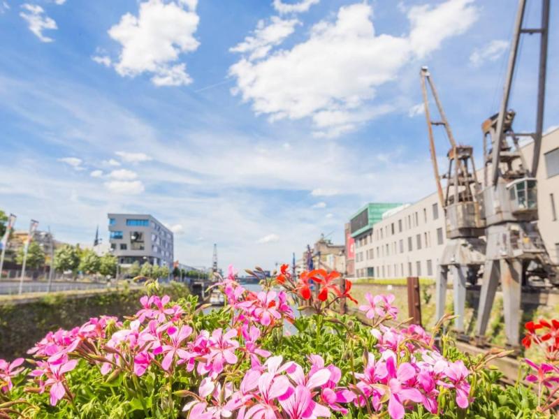 hafenbecken2_c_-melanie-stegemann-6