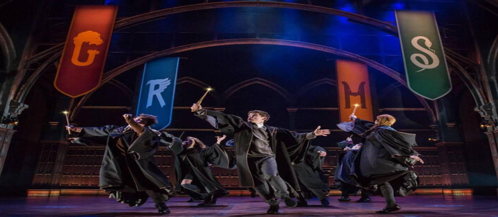 harry-potter-de-musical-(1)