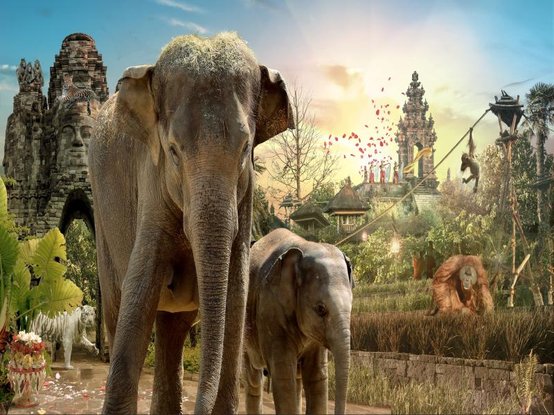 illus_website_ganesha_2019023_v01-(1)
