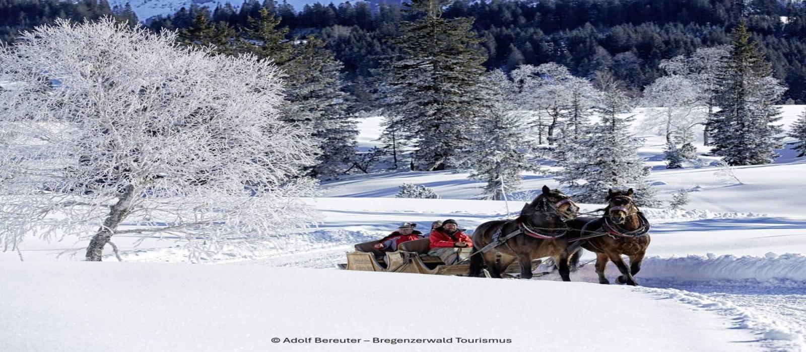 kerstreis-bregenzerwald-pferdeschlittenfahr-am-hochh--derich-(c)-adolf-bereuter---bregenzerwald-tourismus-4