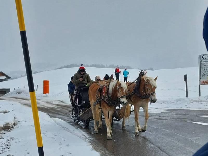 ontvangen-van-dhr-saaltink-(2)-4