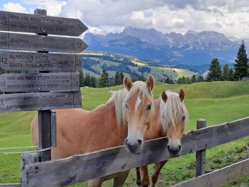 voorjaarsreis-pasen-in-zuid-tirol-2026-(3)