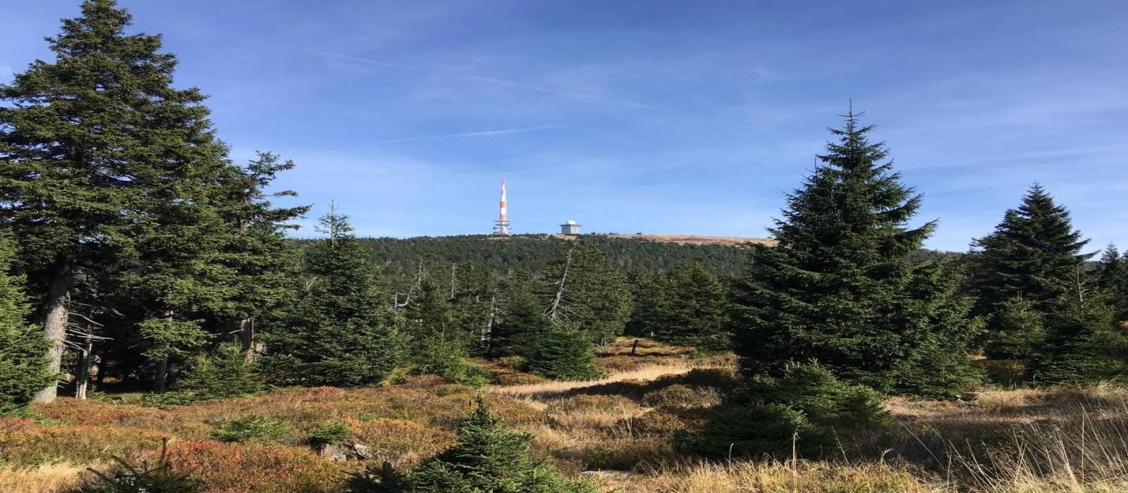 website-voorjaarsreis-harz-2026-(1)