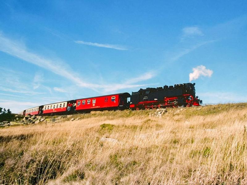 website-voorjaarsreis-harz-2026-(2)