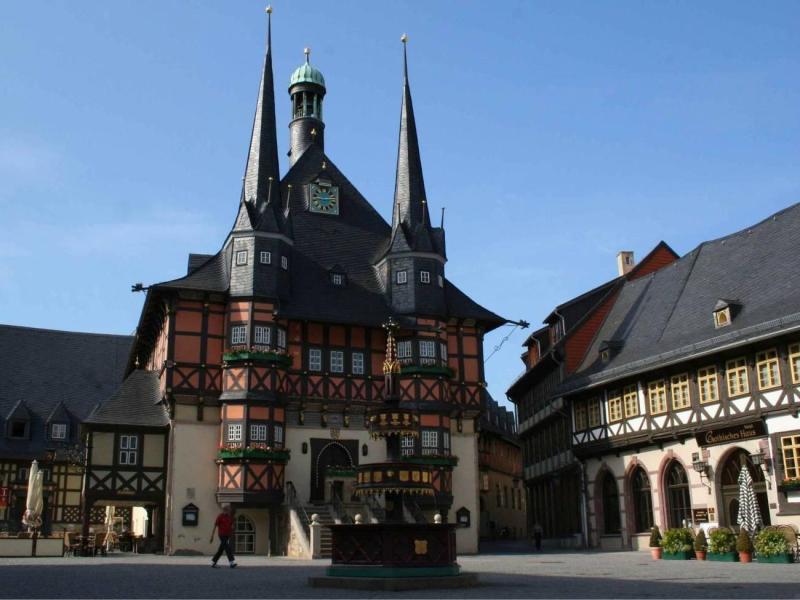 website-voorjaarsreis-harz-2026-(3)