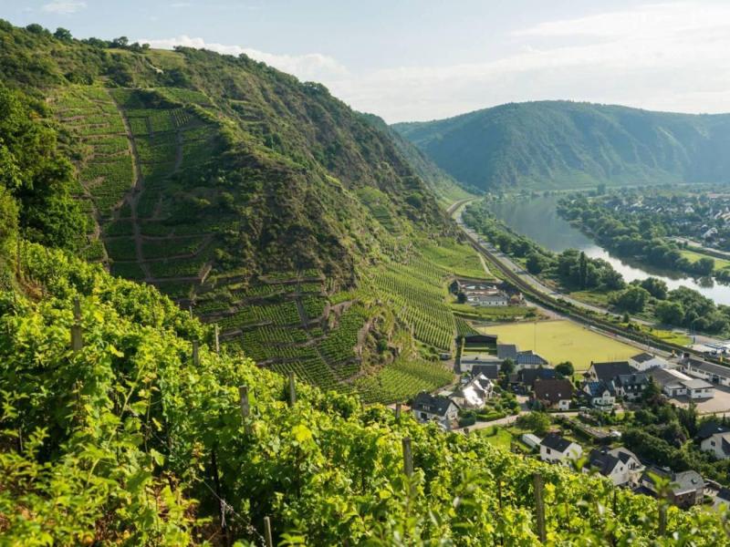 weekendje-moezel--(2)