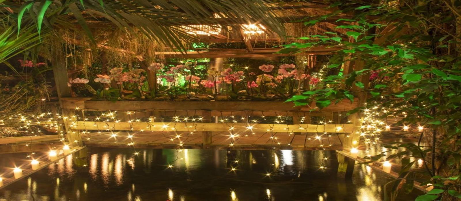 winterdroom-2024---pantropica-(17)-4