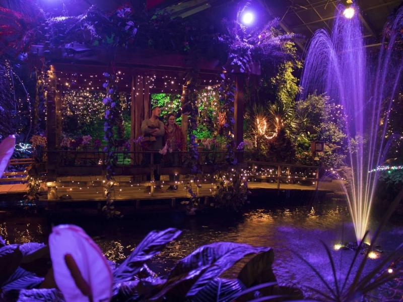 winterdroom-2024---pantropica-(7)-4