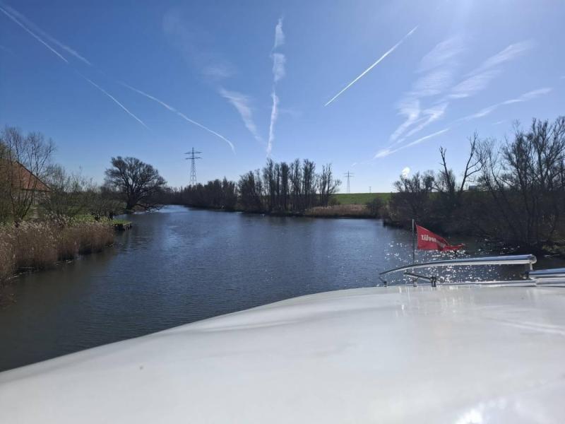 zilvermeeuw-biesbosch-(10)
