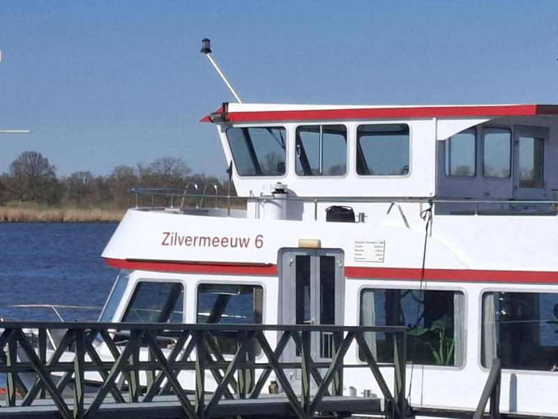 zilvermeeuw-biesbosch-(3)-2