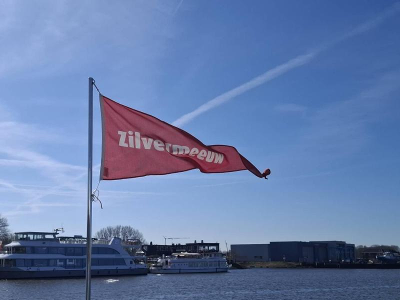 zilvermeeuw-biesbosch-(4)