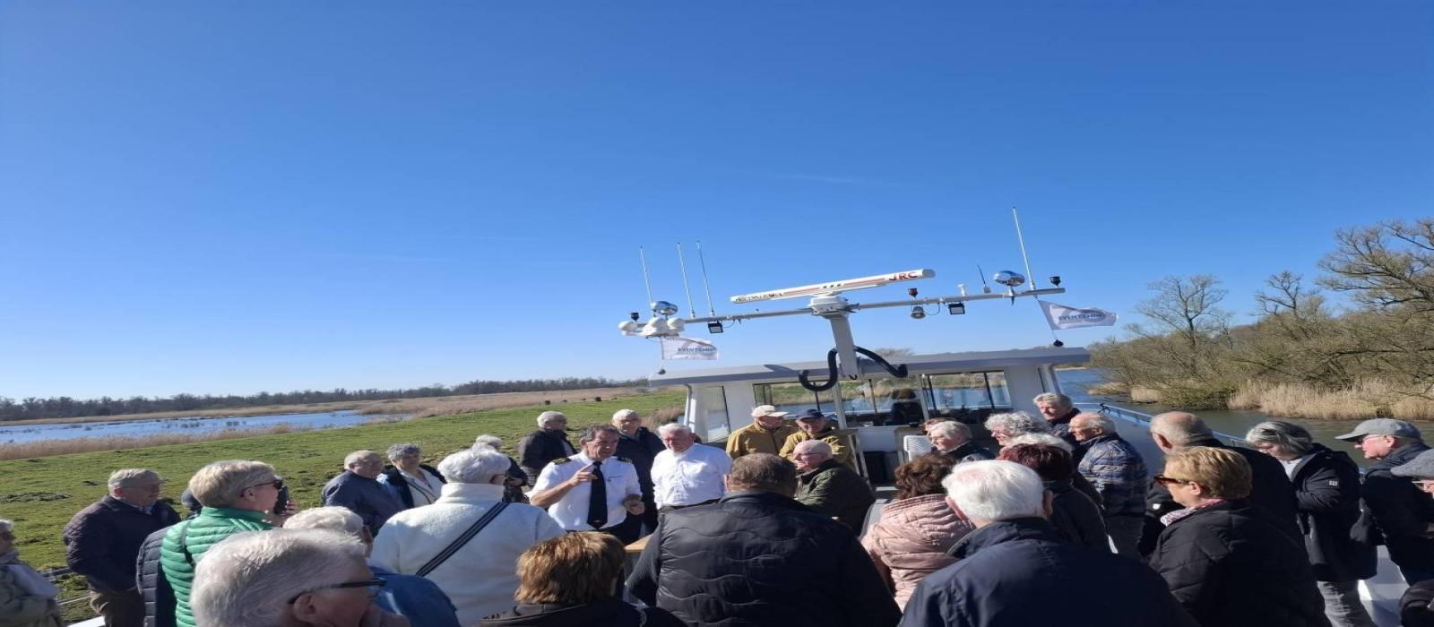 zilvermeeuw-biesbosch-(5)