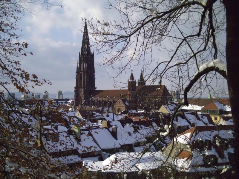 zwarte-woud-kerstreis-(2)-4