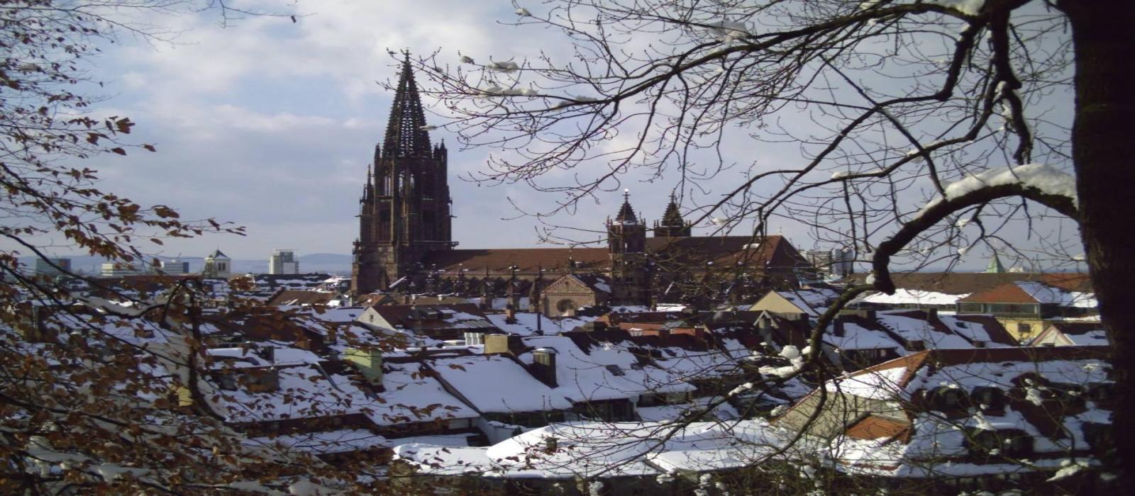 zwarte-woud-kerstreis-(2)-4